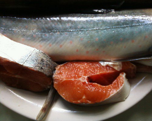 Пошаговый рецепт как вкусно приготовить рыбу голец